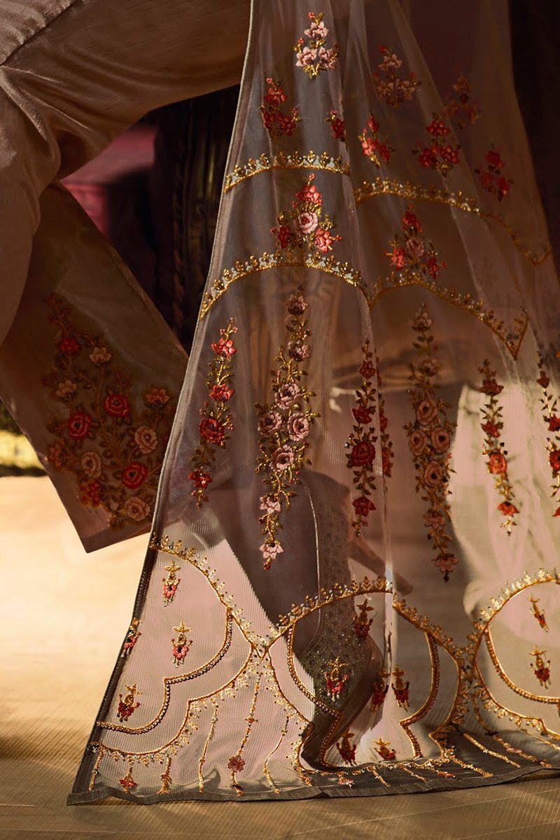 Peanut Heavy Net Party Wear Anarkali Suit
