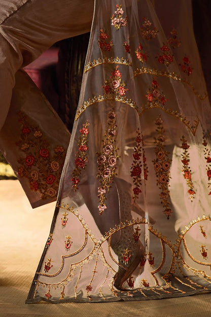 Peanut Heavy Net Party Wear Anarkali Suit