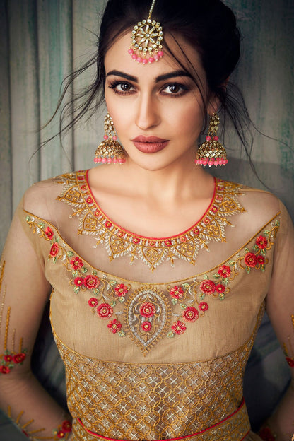 Dark Beige Heavy Net Embroidered Anarkali Suit