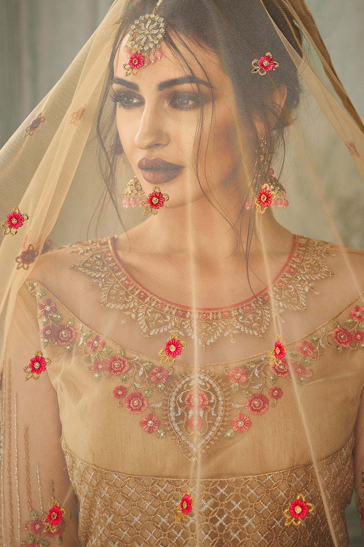 Dark Beige Heavy Net Embroidered Anarkali Suit