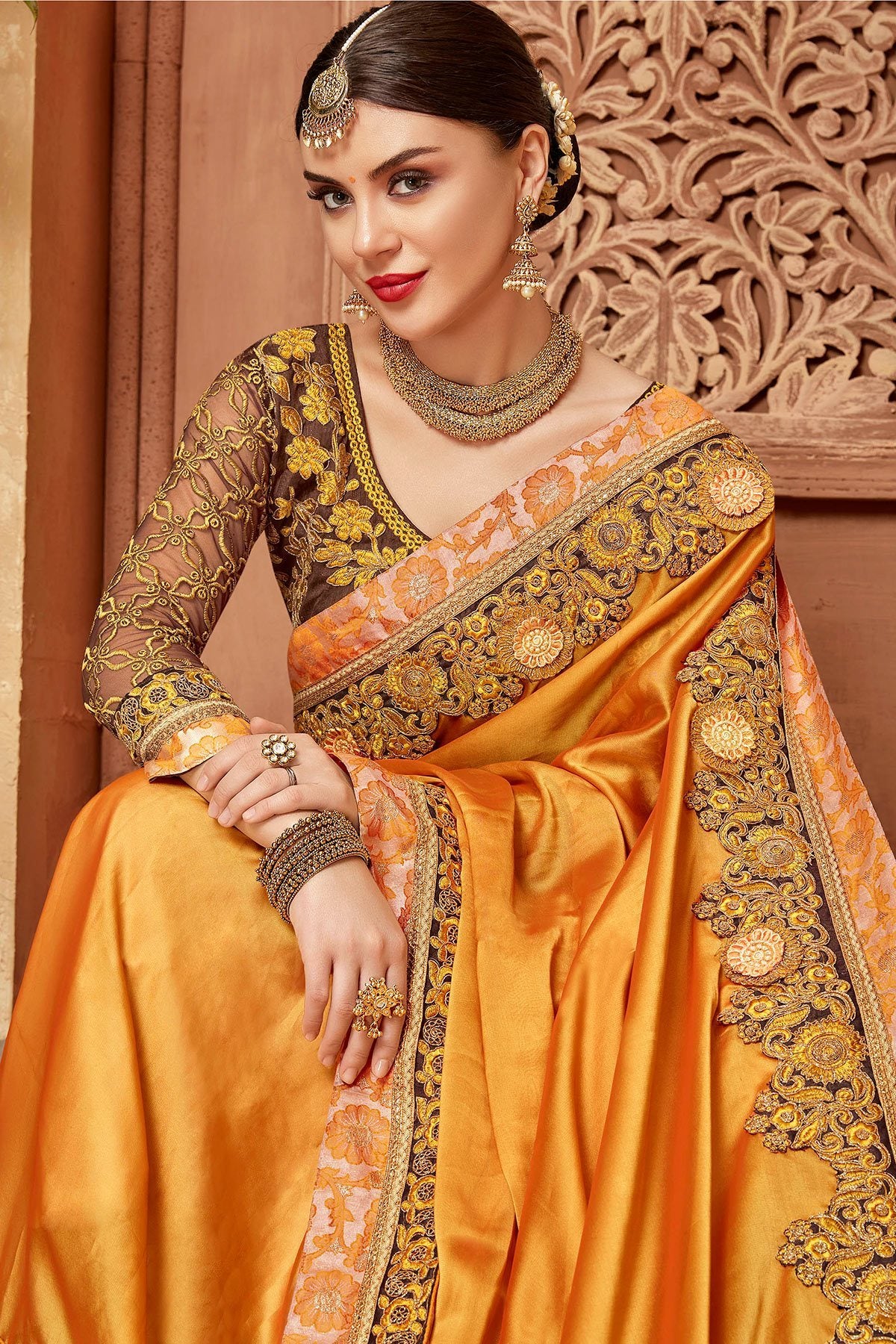 Yellow Saree and Brown Blouse with heavy embroidery