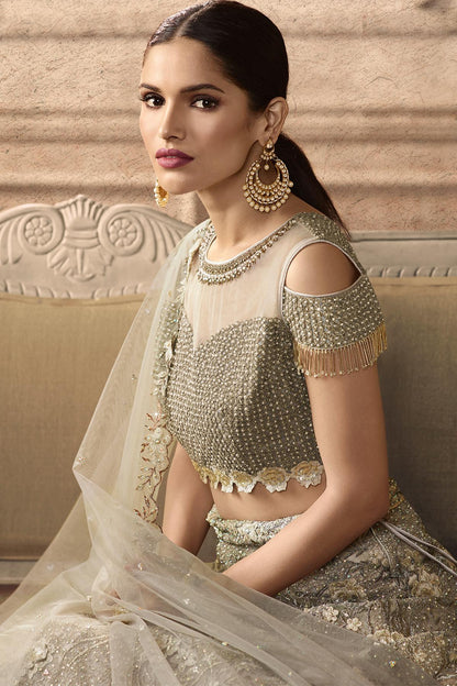 Grey Designer Net Lehenga Choli Set